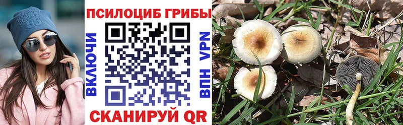 Галлюциногенные грибы мухоморы  Демидов 